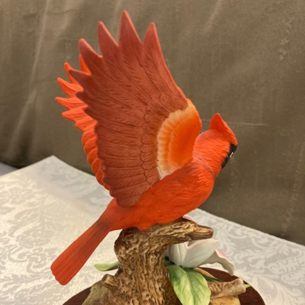 Cardinal by Andrea